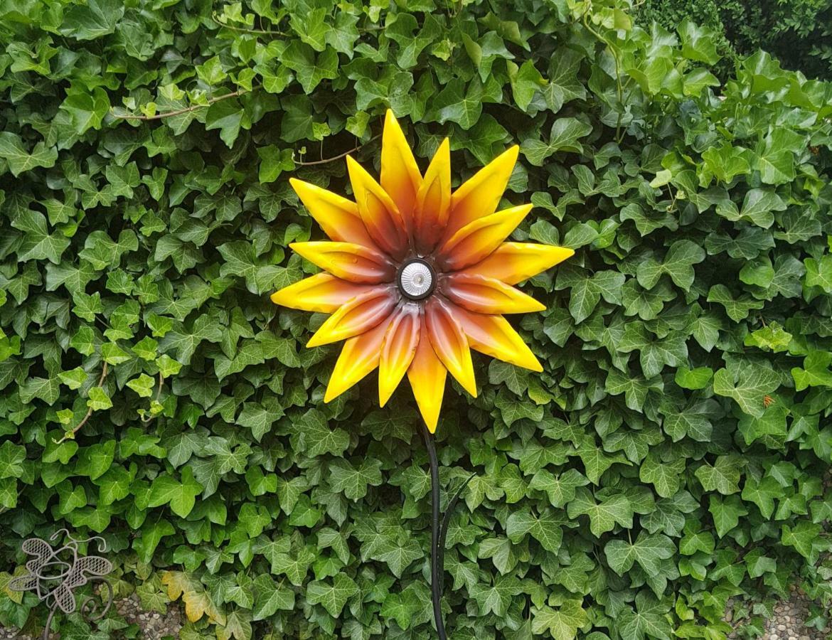 Sunshine *